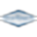 Nextvisionrealestate logo